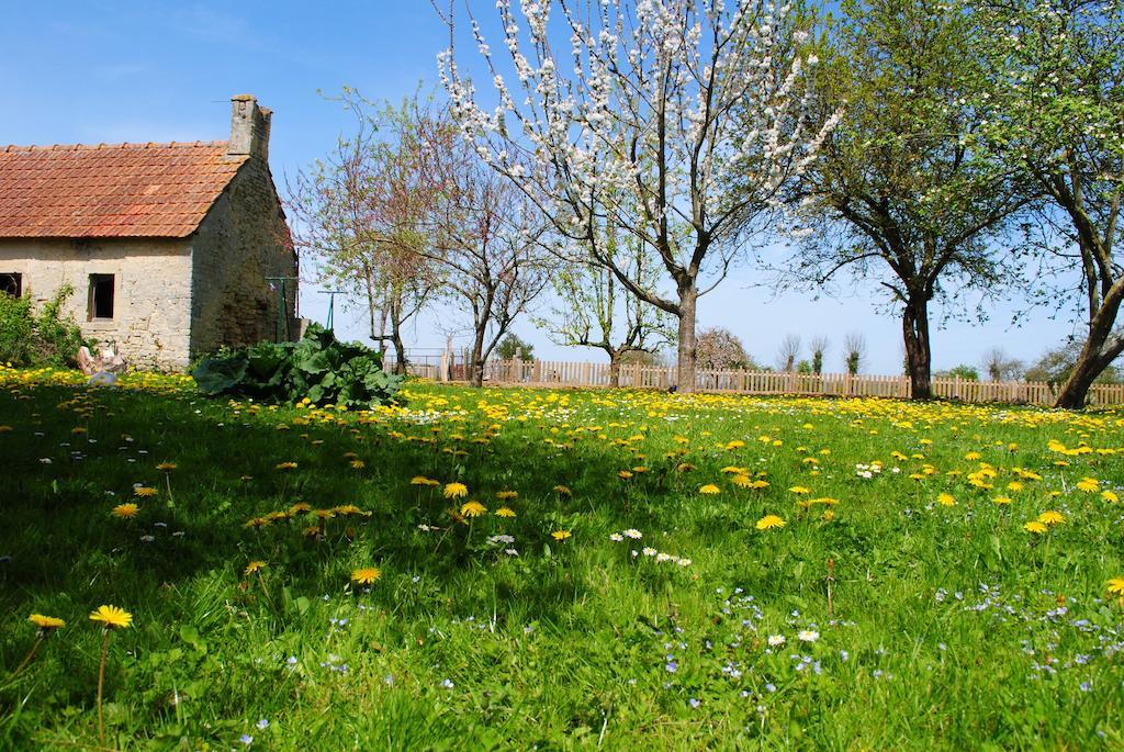 Gites Les Rainettes Vienne-en-Bessin Eksteriør bilde